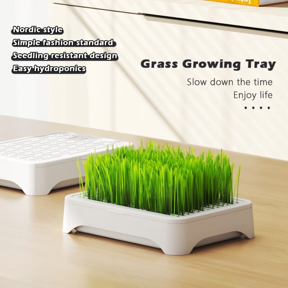 Hydroponic Grow Pod - صينية زراعة مائية بلاستيكية ذاتية الزرع