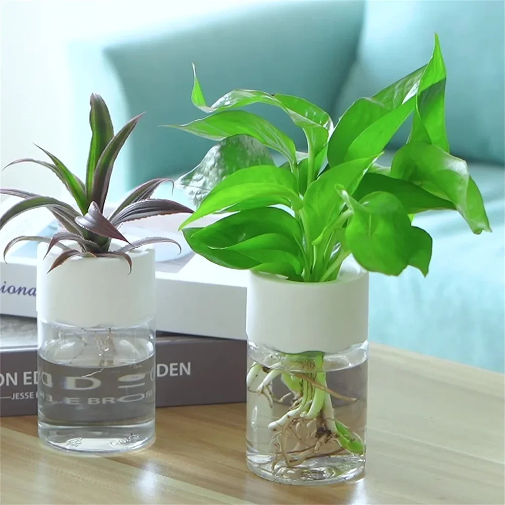 Hydroponic Grow Pod - وعاء زهور مائي صغير شفاف للزراعة