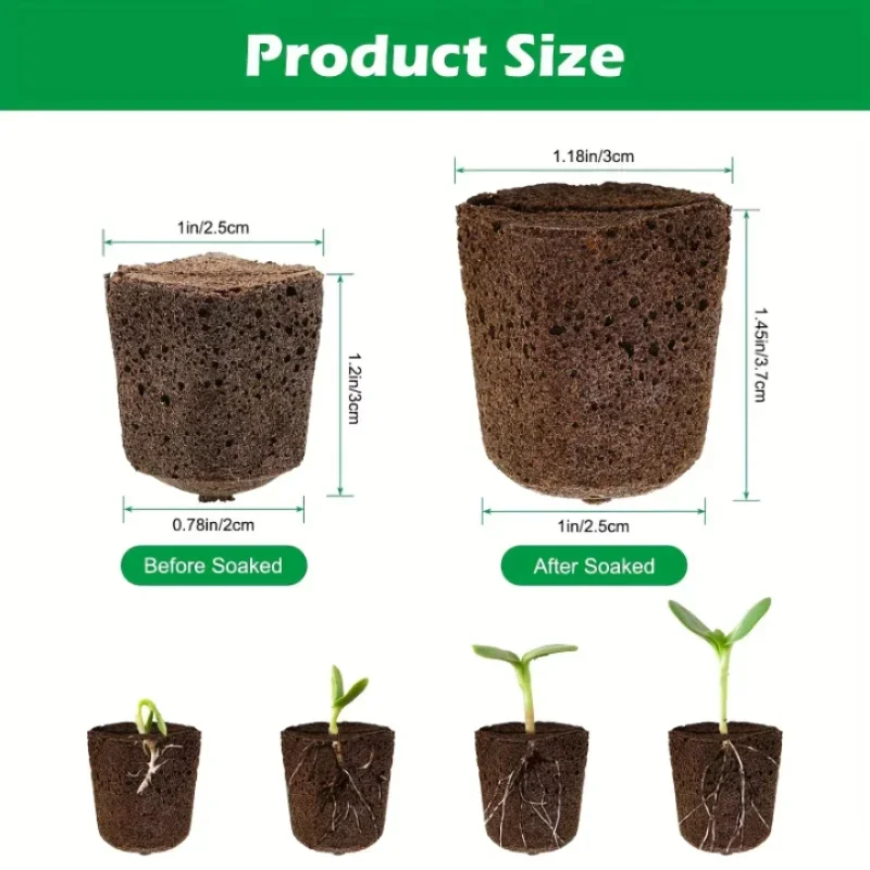 Indoor Garden Kit - مجموعة إسفنجية لبدء زراعة الشتلات في