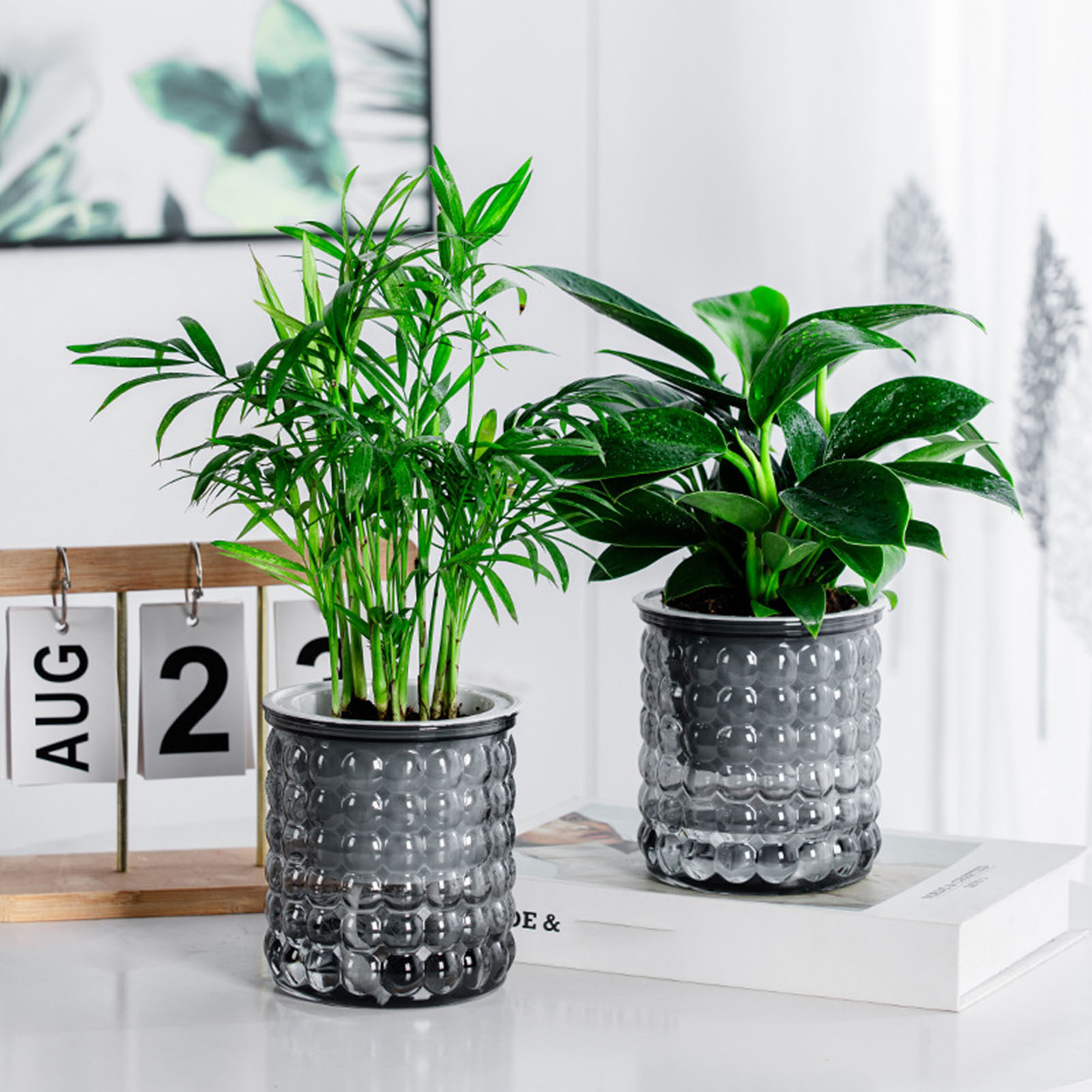 Hydroponic Grow Pod - جديد الذاتي سقي النباتات المائية وعاء