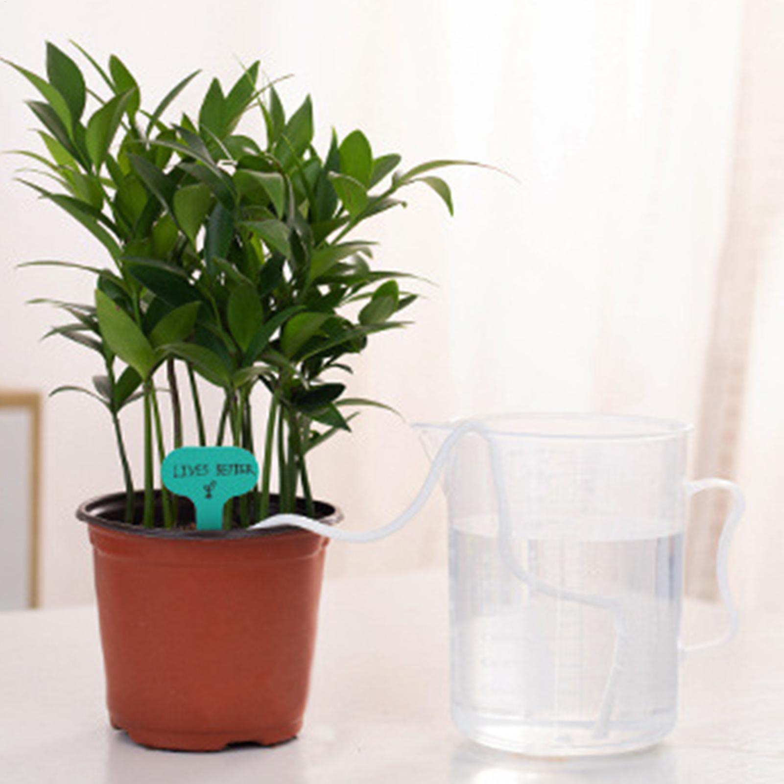 أعواد ري نباتية للري الذاتي، ن - مراجعة Self Watering Planter وسعره