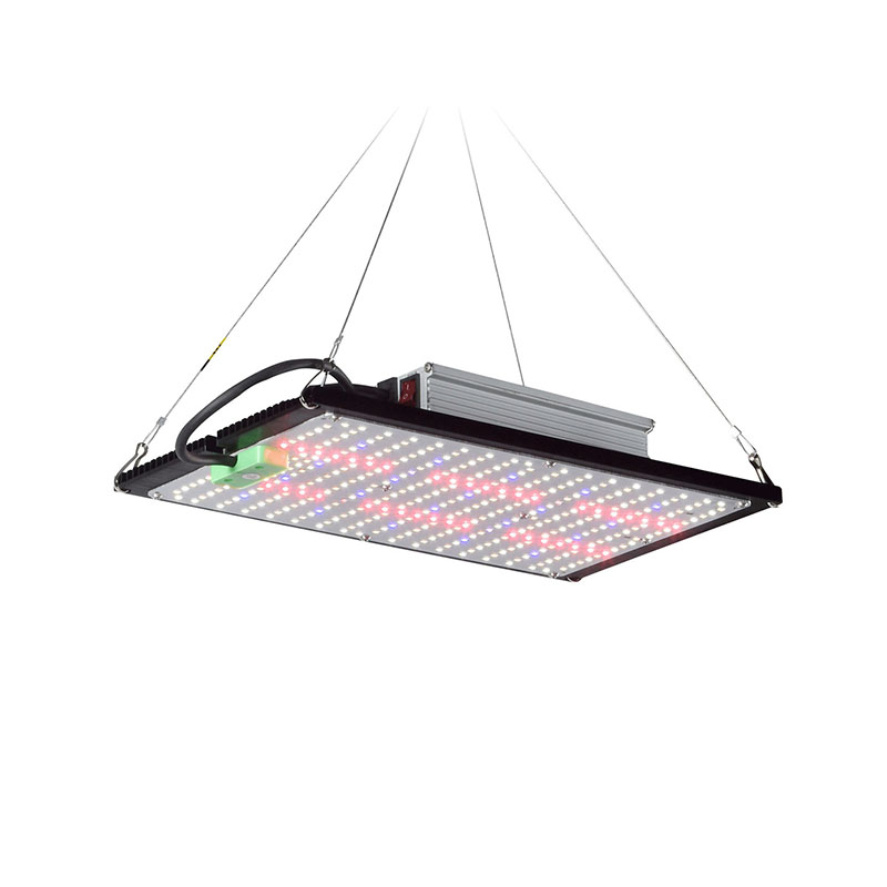 مصباح نمو LED كوانتوم-بورد كام - مراجعة Plant Grow Light Full Spectrum وسعره