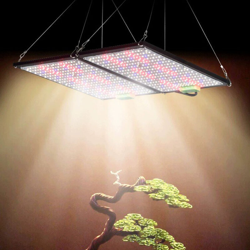 مصباح نمو LED كوانتوم-بورد كام - مراجعة Plant Grow Light Full Spectrum وسعره