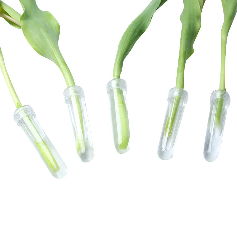أنبوب تغذية بلاستيكي طازج مع غ - مراجعة Hydroponic Grow Pod وسعره