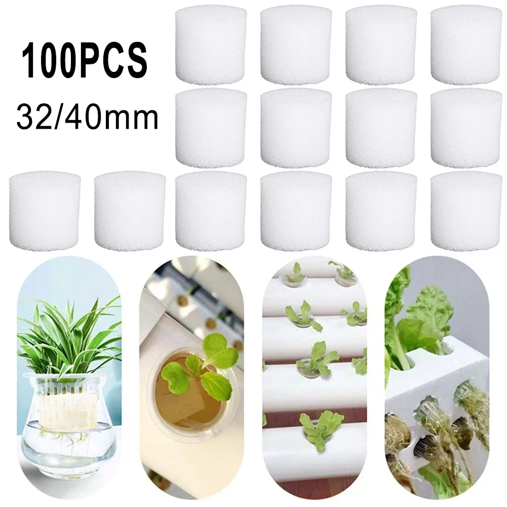 100 قطعة من إسفنجة الزراعة الم - مراجعة Hydroponic Grow Pod وسعره