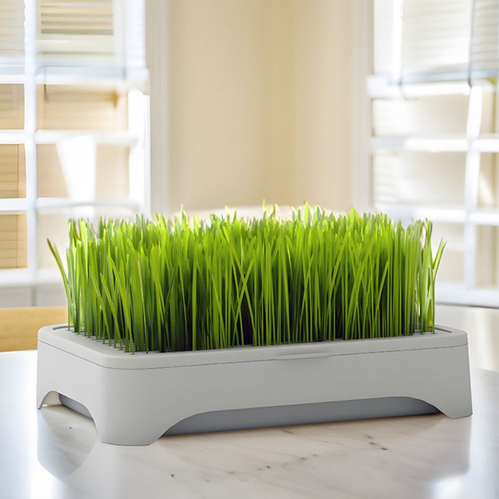 صينية زراعة مائية بلاستيكية ذا - مراجعة Hydroponic Grow Pod وسعره