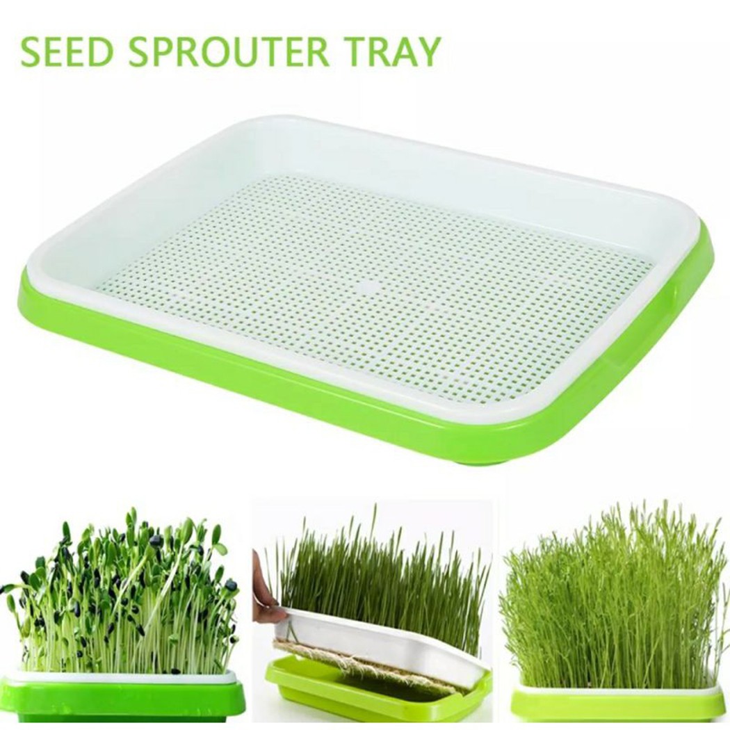 صينية تنبت ميكروغرينز المائية/ - مراجعة Hydroponic Grow Pod وسعره