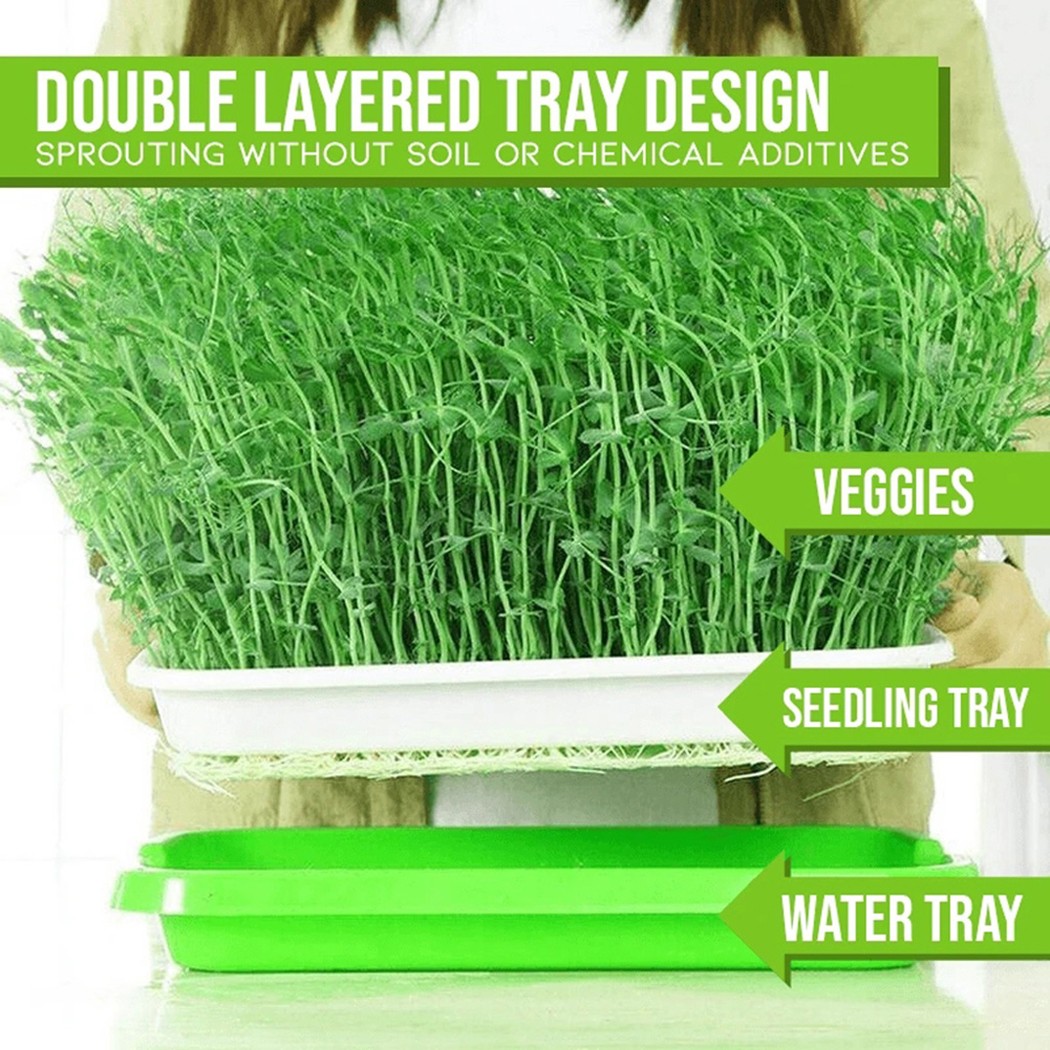 صينية تنبت ميكروغرينز المائية/ - مراجعة Hydroponic Grow Pod وسعره