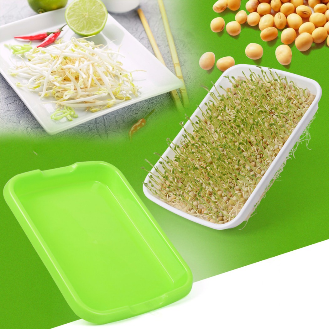 صينية تنبت ميكروغرينز المائية/ - مراجعة Hydroponic Grow Pod وسعره