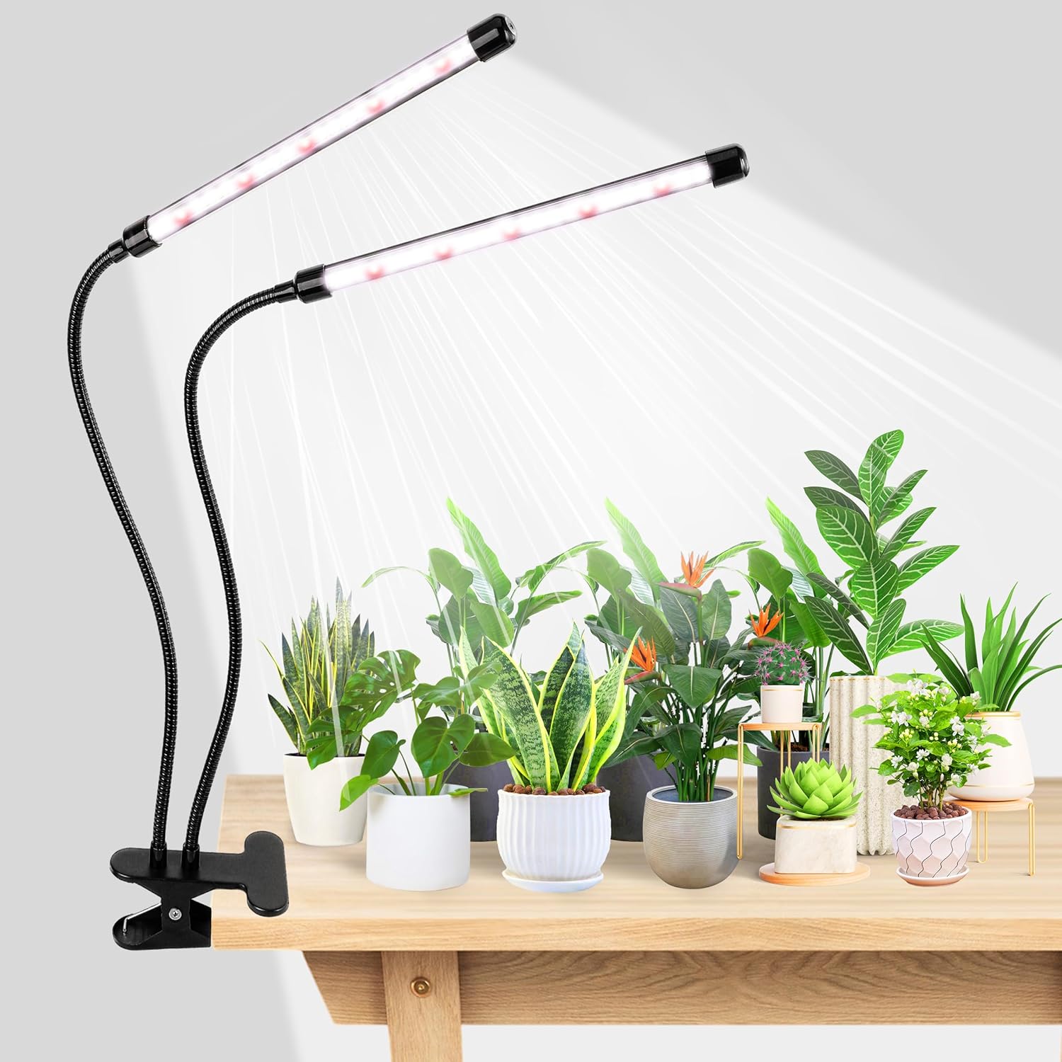 مصباح نمو النباتات LED من KEBI - مراجعة Hydroponic Grow Pod وسعره