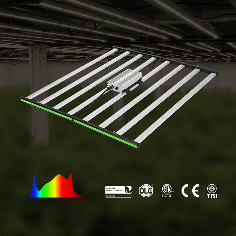 مصابيح LED للنمو النباتي Lm301 - مراجعة Plant Grow Light Full Spectrum وسعره