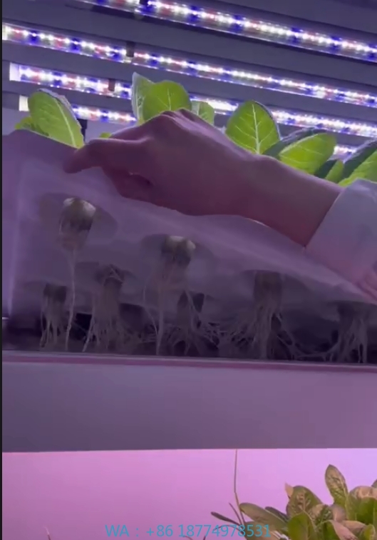 f المعدات الزراعية الدفيئة تنم - مراجعة Hydroponic Tower وسعره