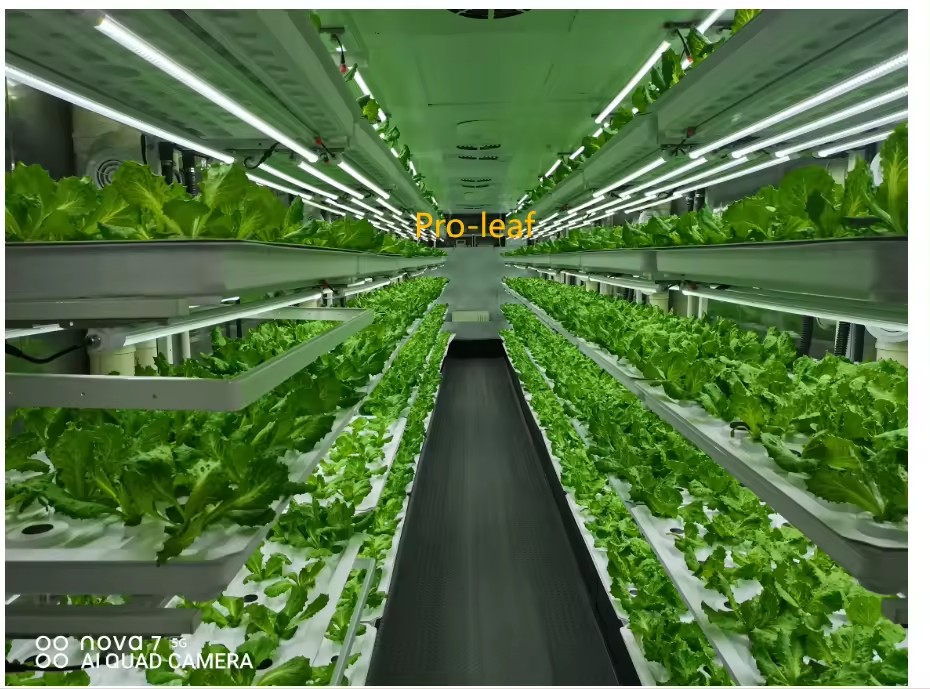 f المعدات الزراعية الدفيئة تنم - مراجعة Hydroponic Tower وسعره