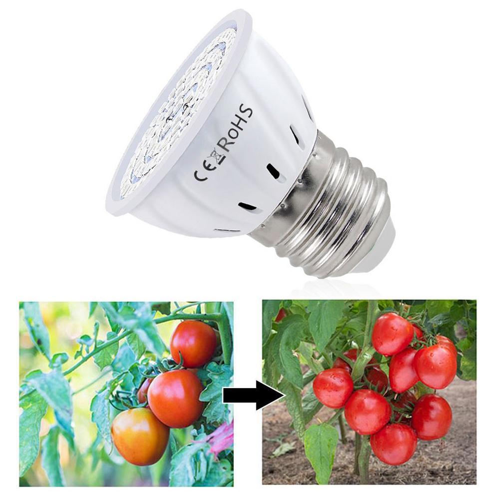 مصباح LED للنمو E27 بـ 60-80 م - مراجعة Plant Grow Light Full Spectrum وسعره