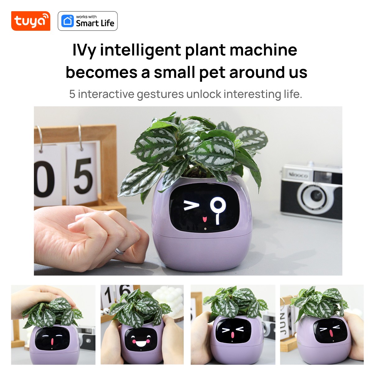 زارع ذكي Tuya Ivy ، متعة لا نه - مراجعة Smart Pot وسعره