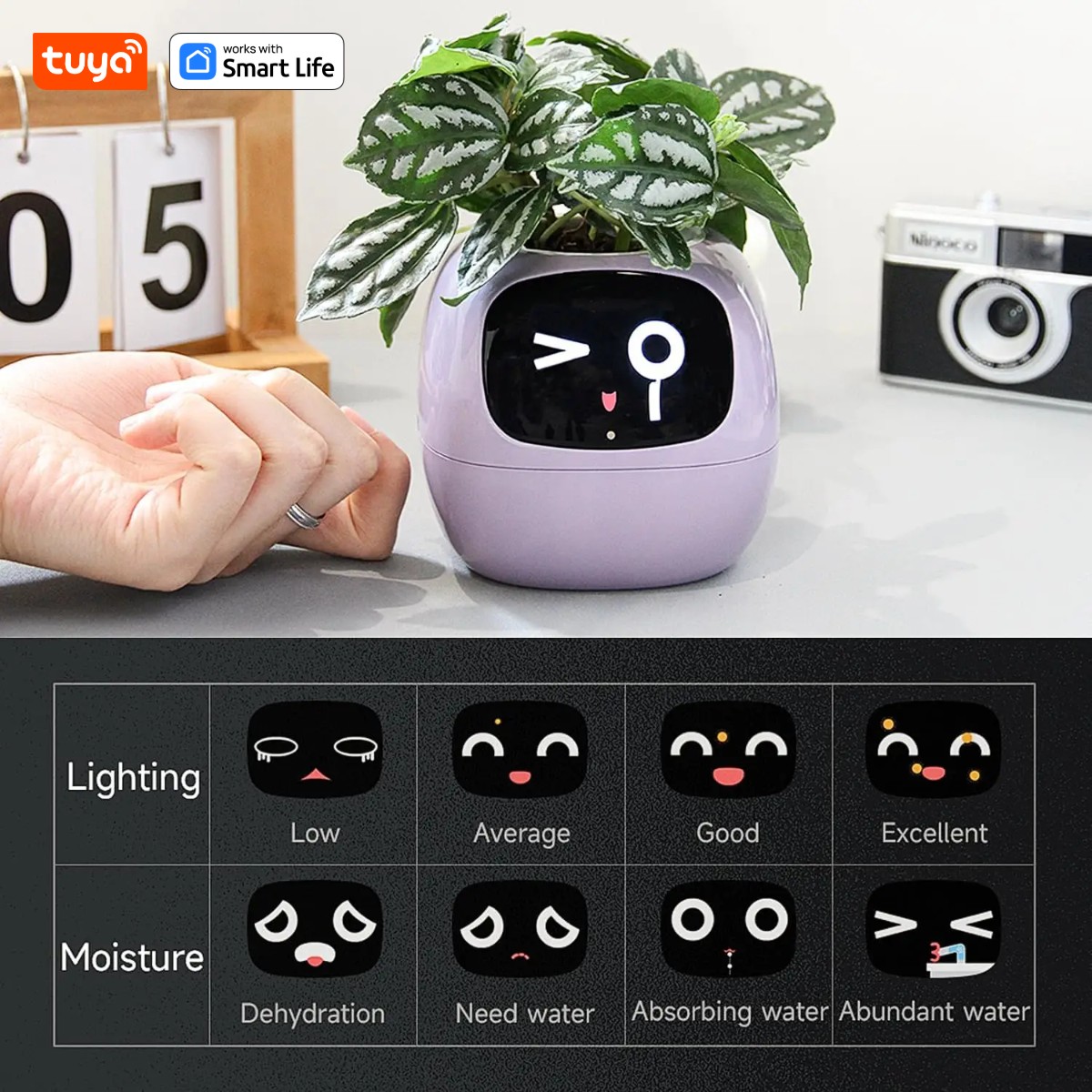 زارع ذكي Tuya Ivy ، متعة لا نه - مراجعة Smart Pot وسعره