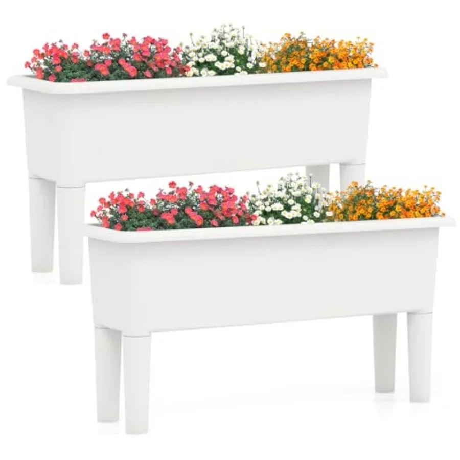 مجموعة من حوضين لزراعة النباتا - مراجعة Self Watering Planter وسعره