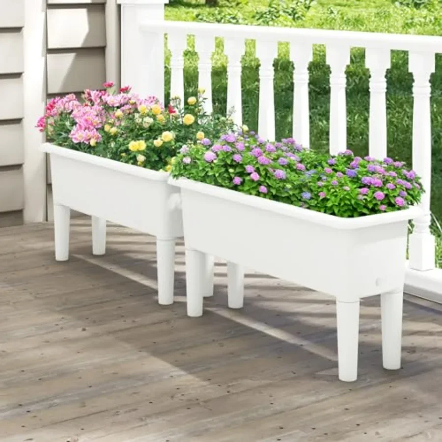 مجموعة من حوضين لزراعة النباتا - مراجعة Self Watering Planter وسعره