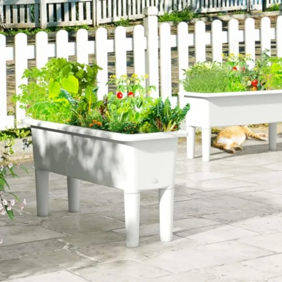 مجموعة من حوضين لزراعة النباتا - مراجعة Self Watering Planter وسعره