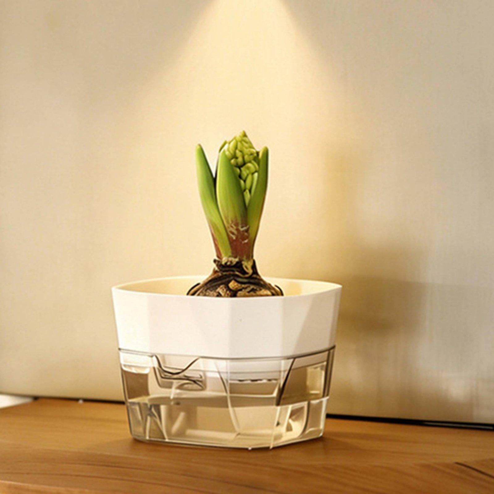 وعاء زراعة مائية ذاتي الري بطب - مراجعة Self Watering Planter وسعره