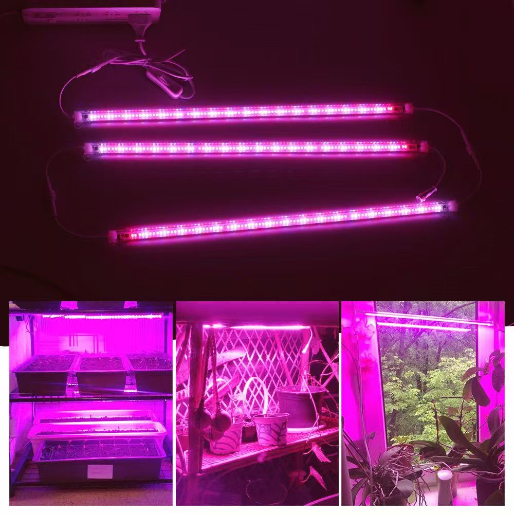 شرائط إضاءة LED لنمو النباتات  - مراجعة Plant Grow Light Full Spectrum وسعره
