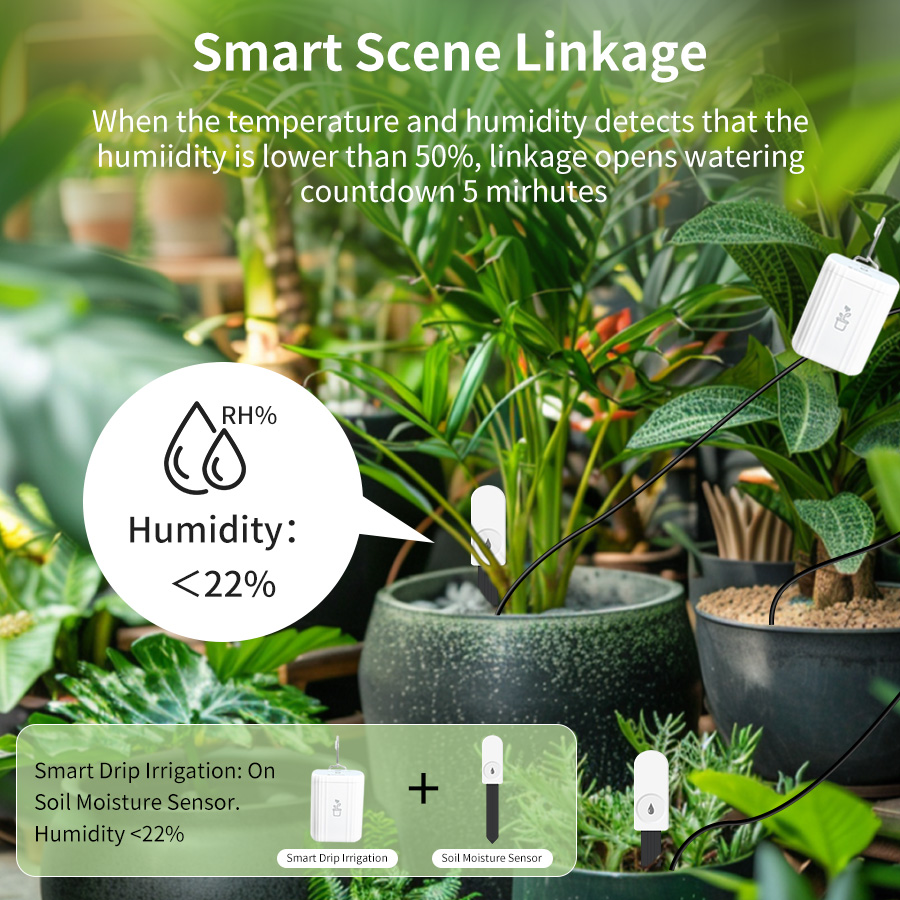 جهاز اختبار التربة الذكي Zigbe - مراجعة Plant Sensor وسعره