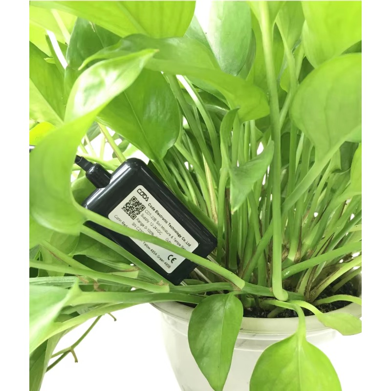 CDT-30B Rs485 0-2v الناتج مصنع - مراجعة Plant Sensor وسعره