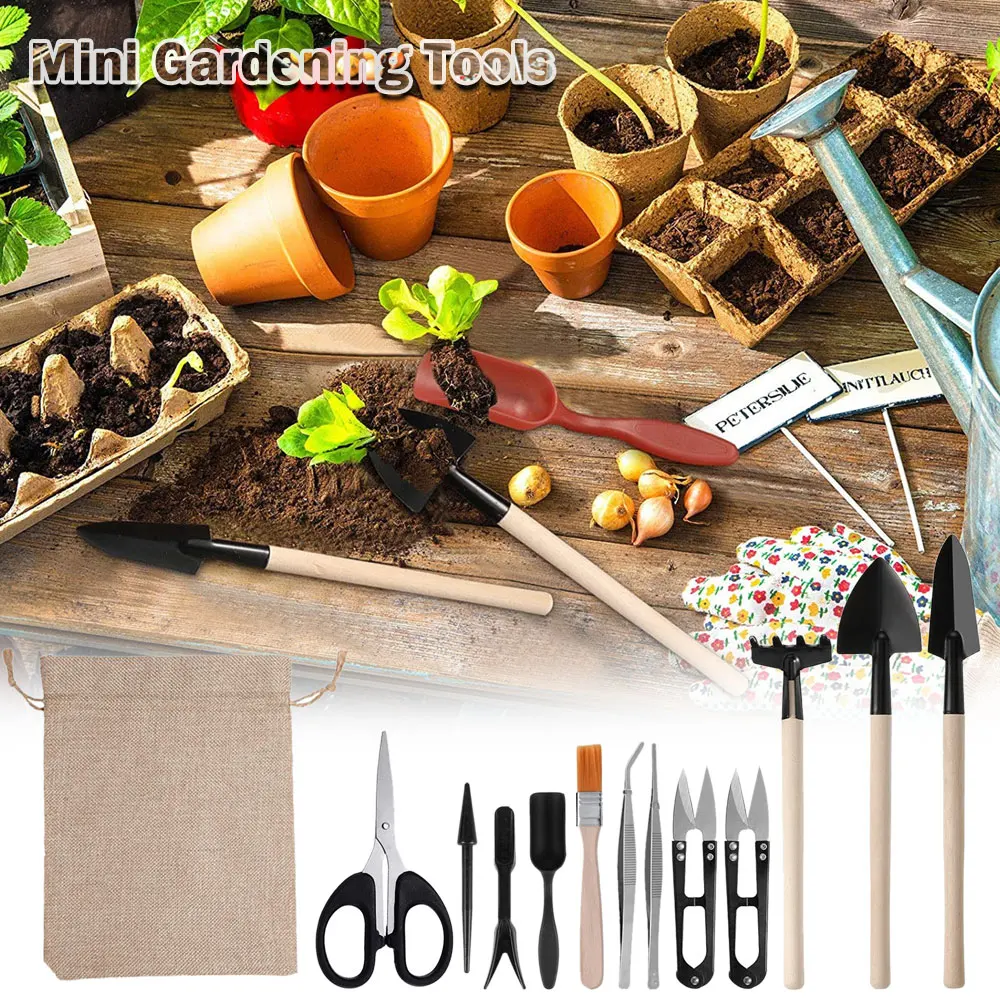 مجموعة أدوات النباتات العصارية - مراجعة Indoor Garden Kit وسعره