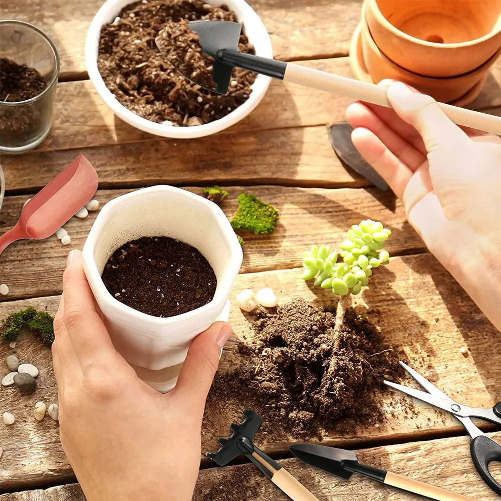مجموعة أدوات النباتات العصارية - مراجعة Indoor Garden Kit وسعره