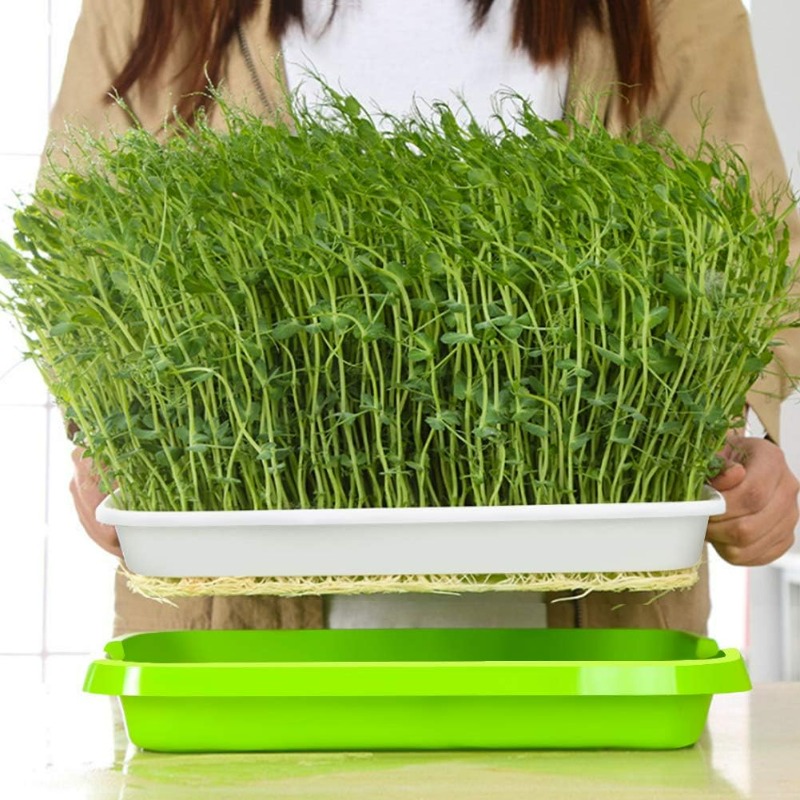 صينية إنبات النباتات الصغيرة،  - مراجعة Hydroponic Grow Pod وسعره