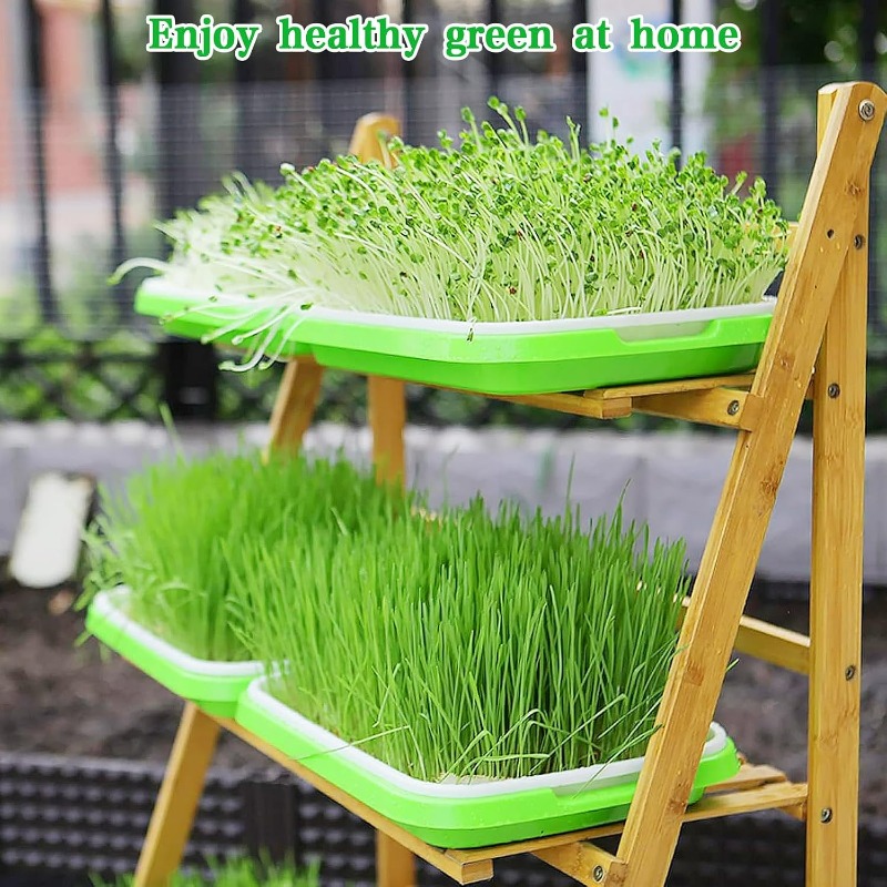 صينية إنبات النباتات الصغيرة،  - مراجعة Hydroponic Grow Pod وسعره