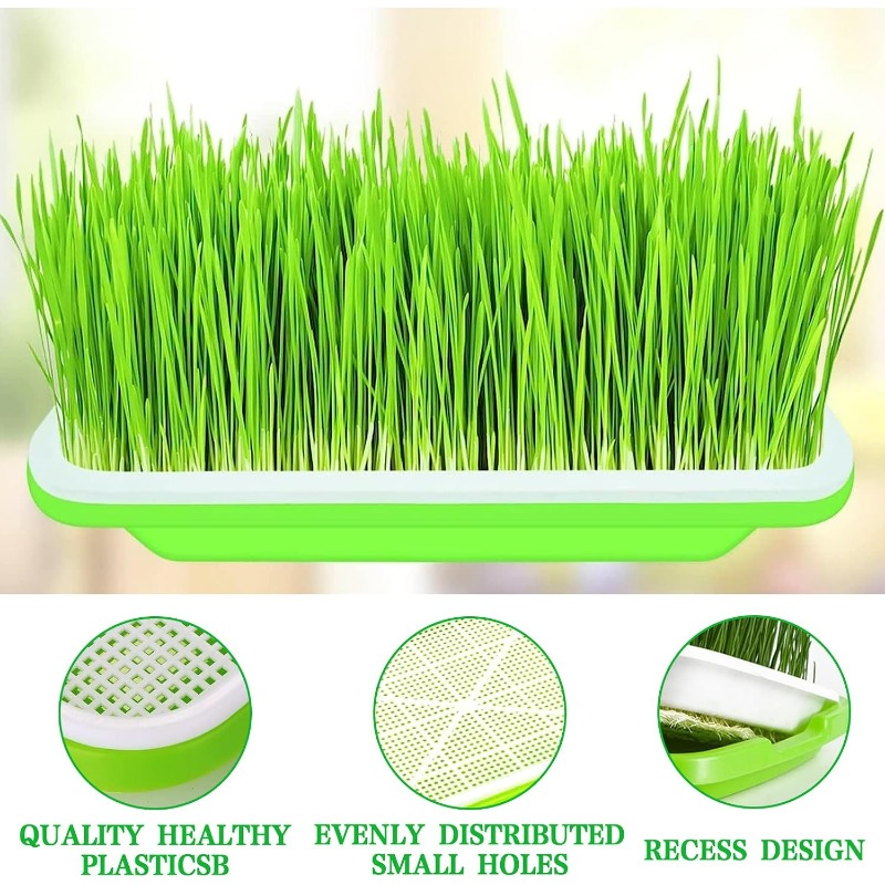 صينية إنبات النباتات الصغيرة،  - مراجعة Hydroponic Grow Pod وسعره