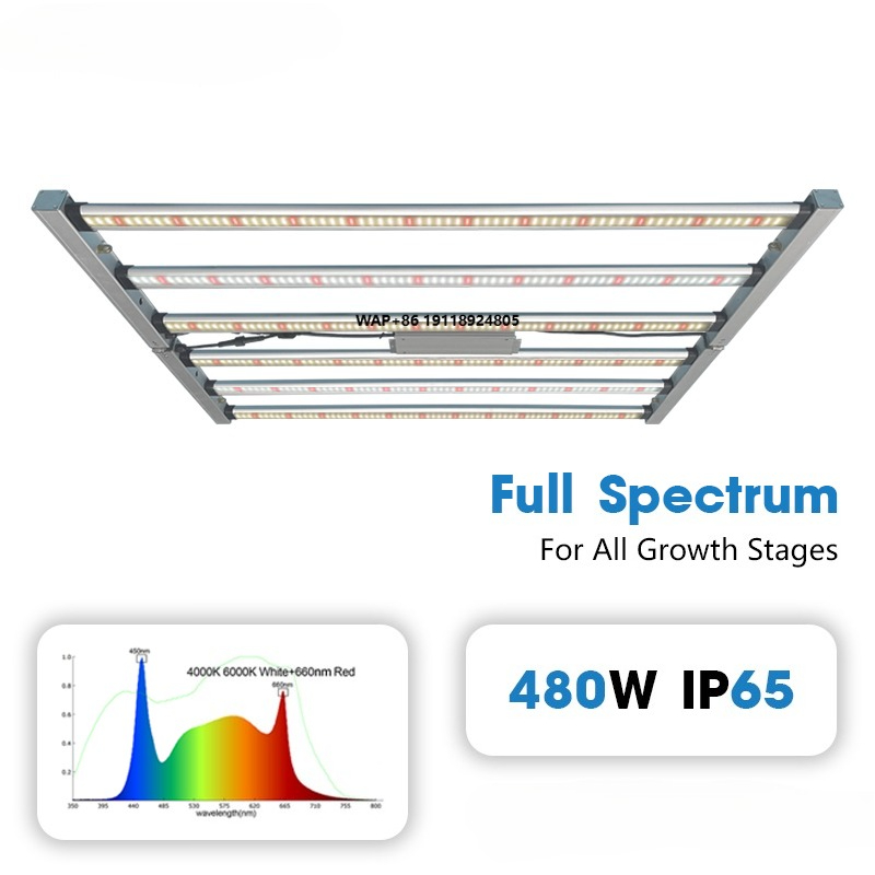 مصباح نمو نباتات LED تجاري عال - مراجعة Plant Grow Light Full Spectrum وسعره