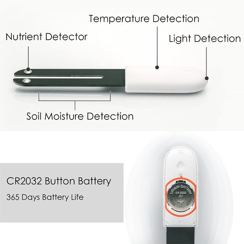 كاشف البستنة HHCC لـ شاومي ميل - مراجعة Smart Garden Kit وسعره