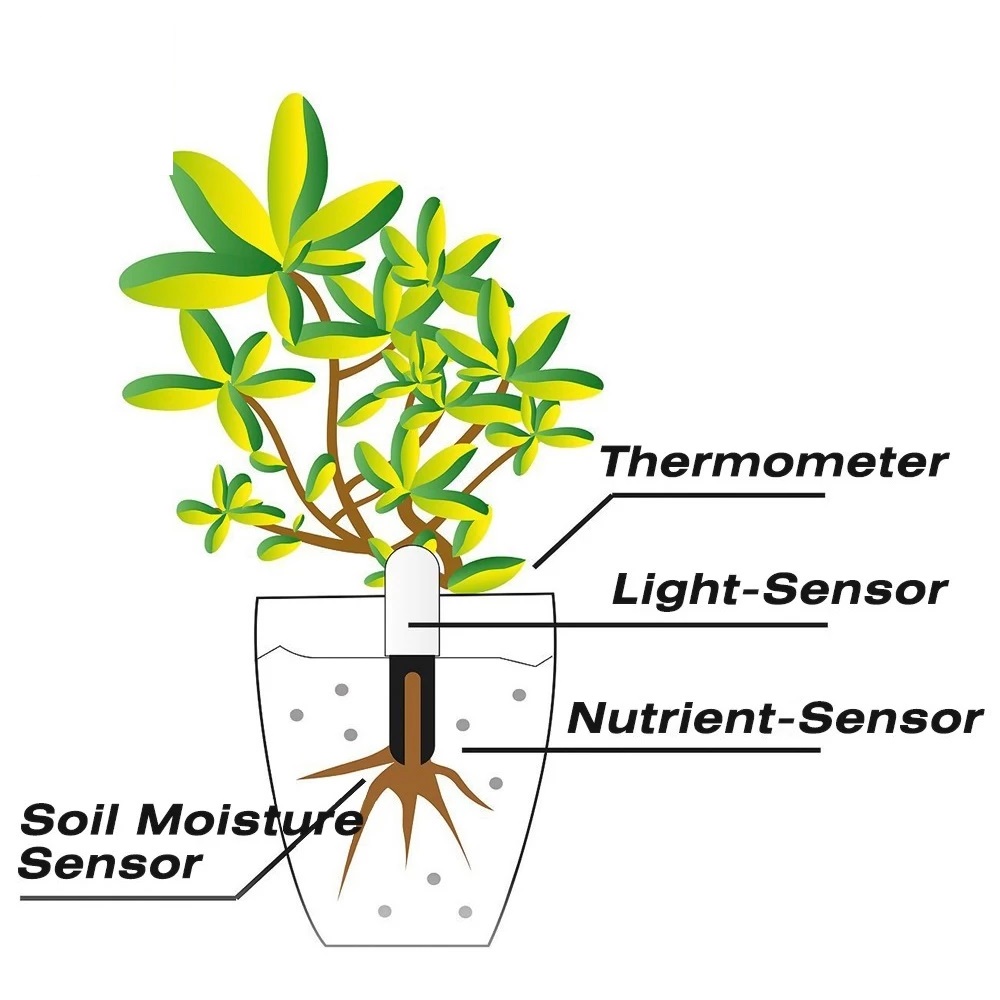 كاشف البستنة HHCC لـ شاومي ميل - مراجعة Smart Garden Kit وسعره