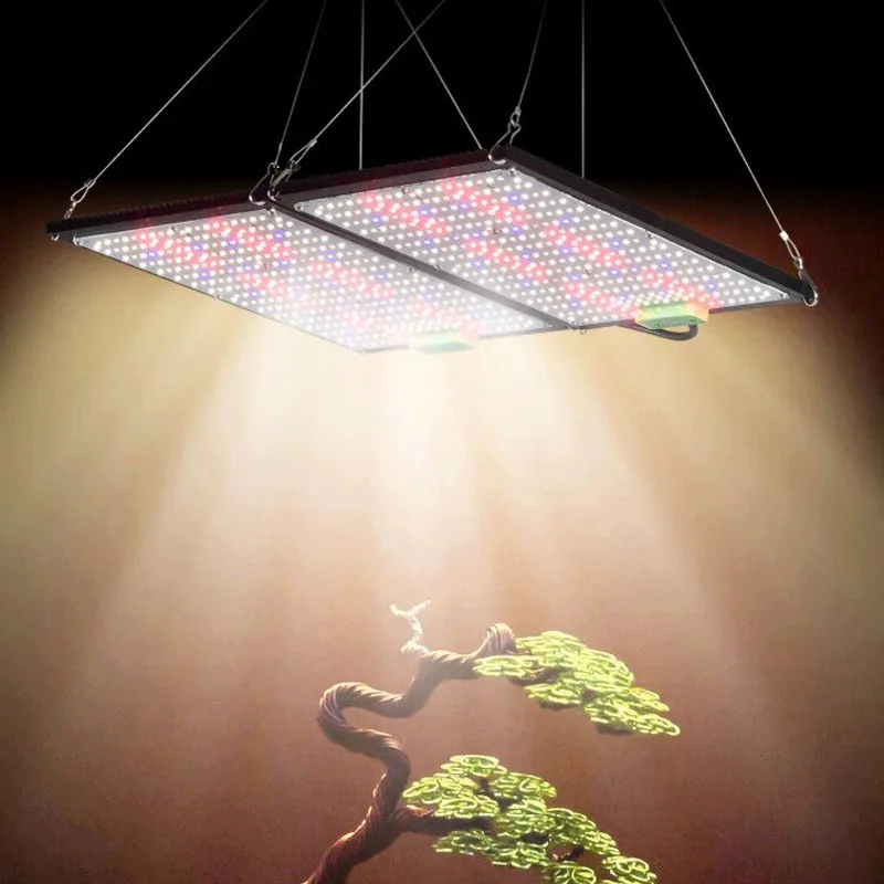 مصباح نمو LED كوانتوم-بورد كام - مراجعة Plant Grow Light Full Spectrum وسعره
